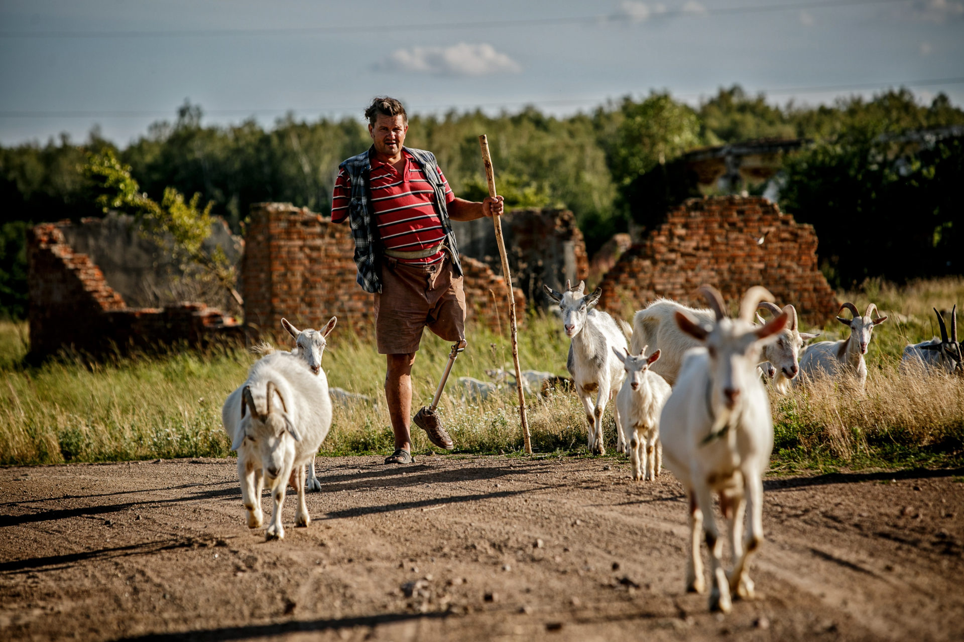 Сам собі пастир Сам собі пастир